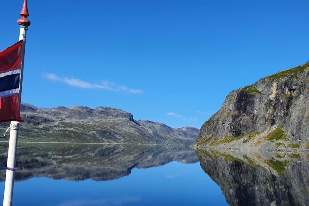 Riddertunets Lune - Dyr Tillatt