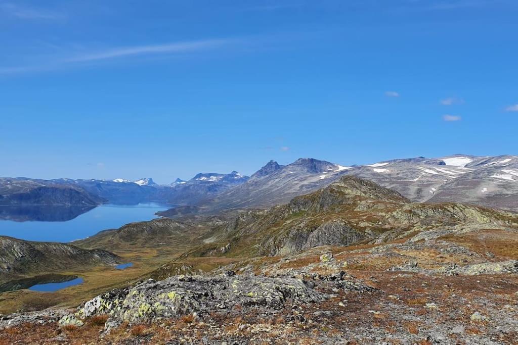 Riddertunets Lune - Dyr Tillatt Beitostolen