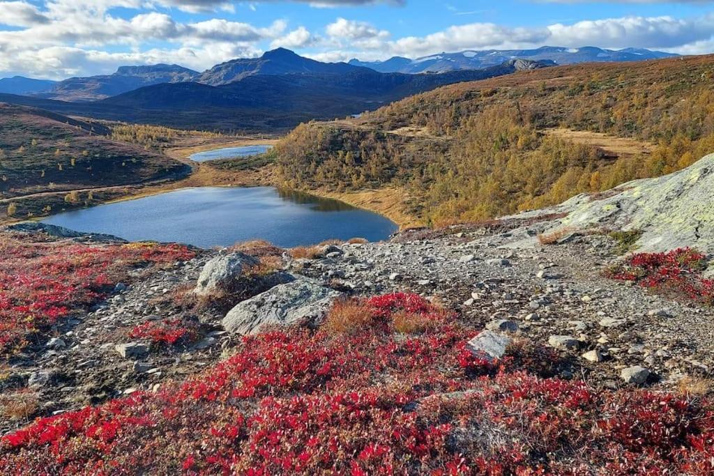 Appartamento Riddertunets Lune - Dyr Tillatt Beitostolen